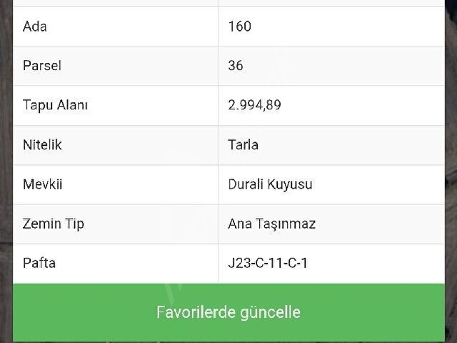 Kütahyada Yatırımlık Kadastro yolu olan tarla