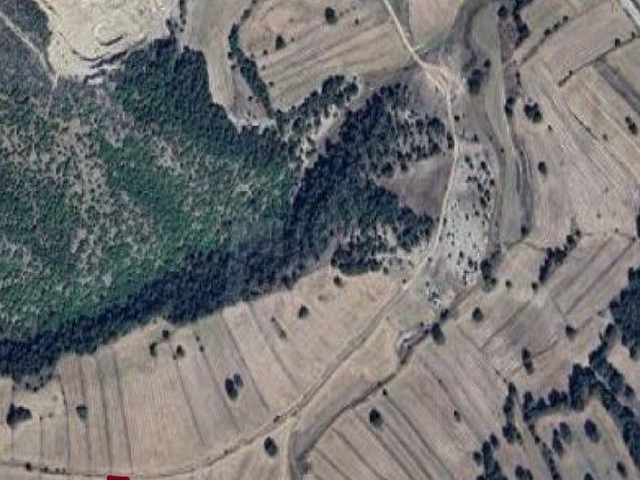 Kütahyada Yatırımlık Kadastro yolu olan tarla - Görsel 5