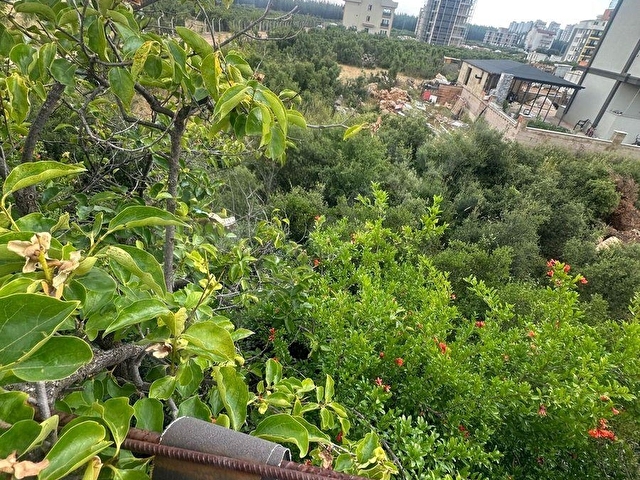 İki katlı müstakil ev