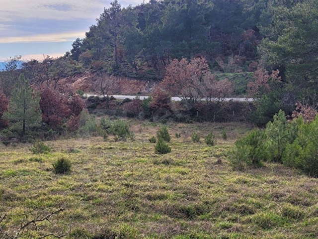 KAZDAĞLARI BAYRAMİÇ BEKİRLER KÖYÜNDE KUPON KADASTURAL YOL TARLA - Görsel 18