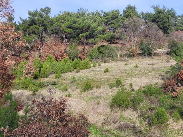 KAZDAĞLARI BAYRAMİÇ BEKİRLER KÖYÜNDE KUPON KADASTURAL YOL TARLA - Görsel 2