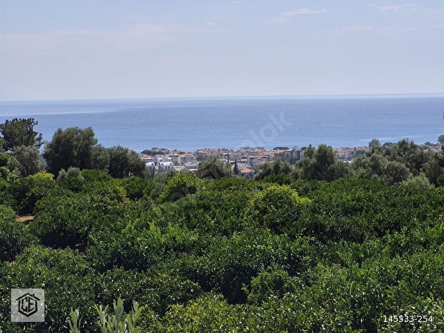 ÖZDERE ORTA MAHALLEDE DENİZ MANZARALI MANDALİNA BAHÇESİ - Görsel 11