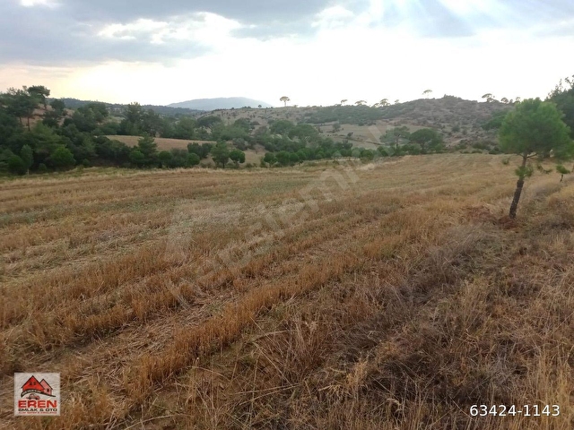 Satılık 10.212m2arazi yolu suyu olan - Görsel 5
