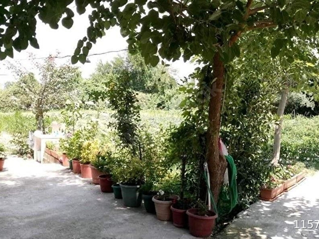 LİDERDEN Muğla Menteşe Karabağlar Yaylasında Satılık İçinde Evi Olan Tarla - Görsel 12