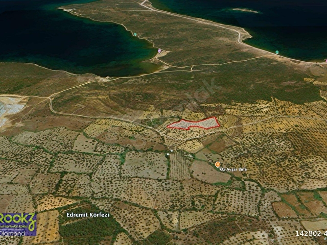 Ayvalik Cunda Adasın da Eșsiz Konumda Satılık Zeytinlik - Görsel 2