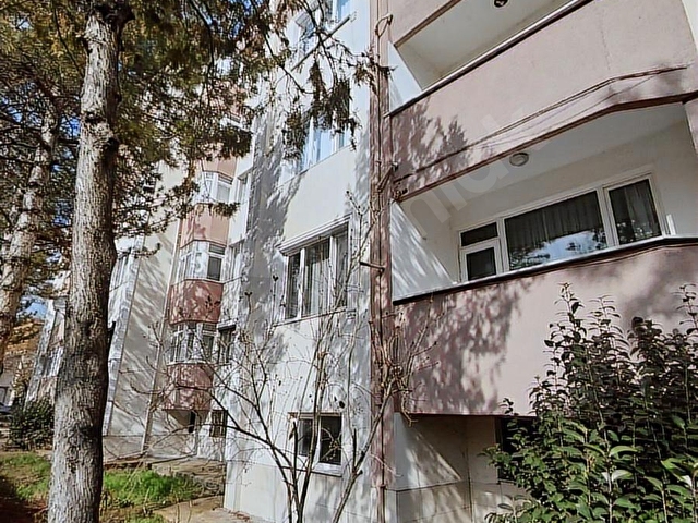 EDIRNE MERKEZ KOCASİNAN MAH KİRALIK DAIRE - Görsel 2