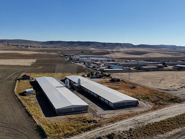 ANKARA POLATLIDA SATILIK BROILER TAVUK ÇİFTLİĞİ - Görsel 17