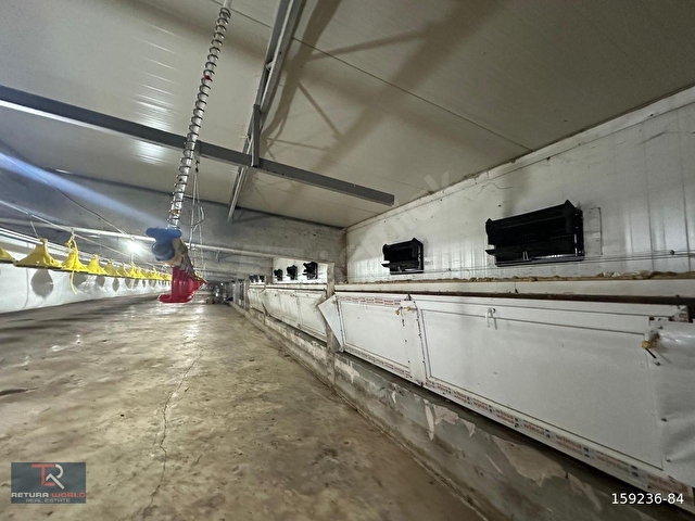 ANKARA POLATLIDA SATILIK BROILER TAVUK ÇİFTLİĞİ - Görsel 15