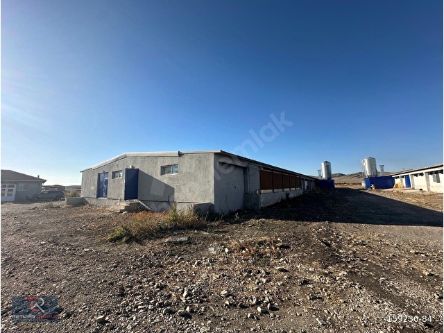 ANKARA POLATLIDA SATILIK BROILER TAVUK ÇİFTLİĞİ