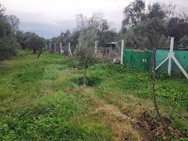 YATIRIMLIK FIRSAT DAİRE ARAÇ TAKASLI UMURLU MERKEZDE ASFALT KENARI 8 DAİRE İMARLI ARSA - Görsel 3