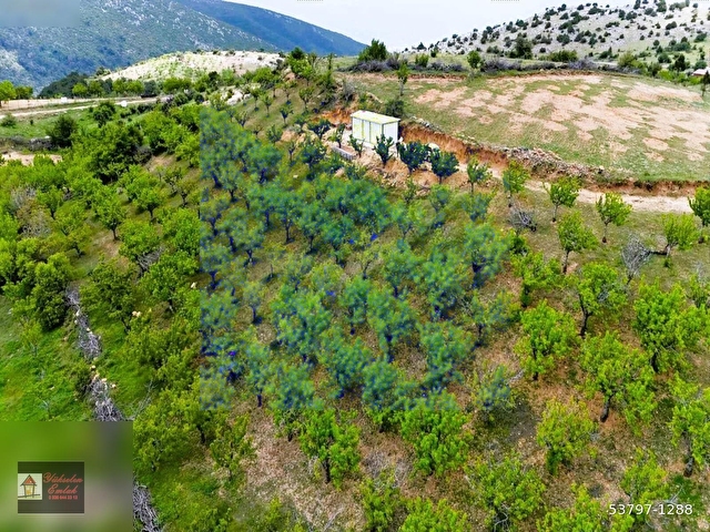 Kemalpaşa Beşpınar Köyü Manzaralı 2743 m2 Satılık Hobi Bahçesi - Görsel 15
