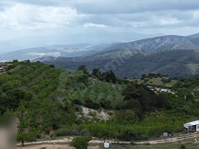 Kemalpaşa Beşpınar Köyü Manzaralı 2743 m2 Satılık Hobi Bahçesi - Görsel 21