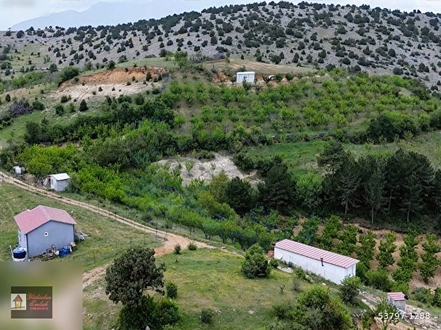 Kemalpaşa Beşpınar Köyü Manzaralı 2743 m2 Satılık Hobi Bahçesi - Görsel 12