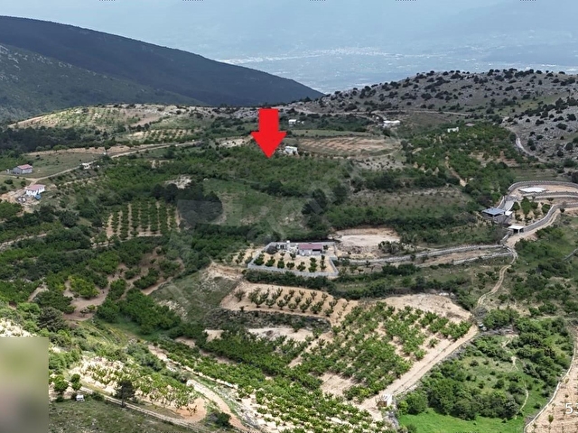 Kemalpaşa Beşpınar Köyü Manzaralı 2743 m2 Satılık Hobi Bahçesi - Görsel 3