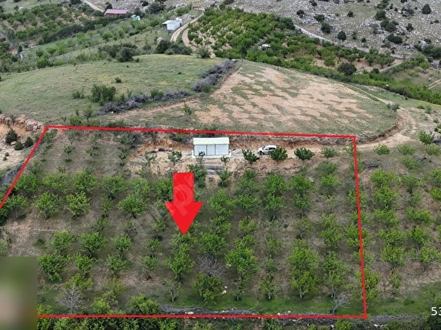 Kemalpaşa Beşpınar Köyü Manzaralı 2743 m2 Satılık Hobi Bahçesi - Görsel 2