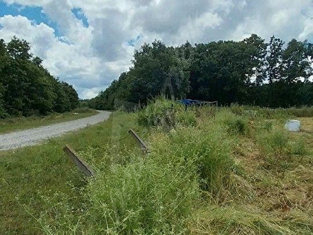 BAFRA MERKEZE 4 KM MESAFEDE SATILIK TEK TAPU FIRSAT TARLA - Görsel 6