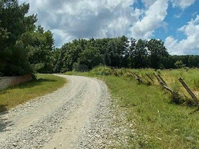 BAFRA MERKEZE 4 KM MESAFEDE SATILIK TEK TAPU FIRSAT TARLA - Görsel 16