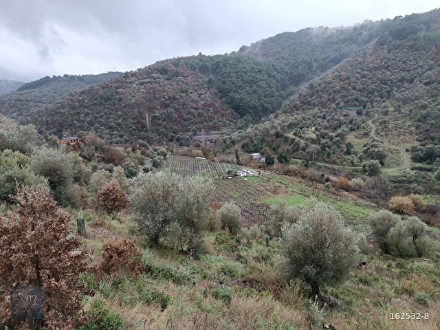 Payamlı Köyünde Kadastrol Yolu Bulunan 1800 M2 Satılık Tarla - Görsel 10
