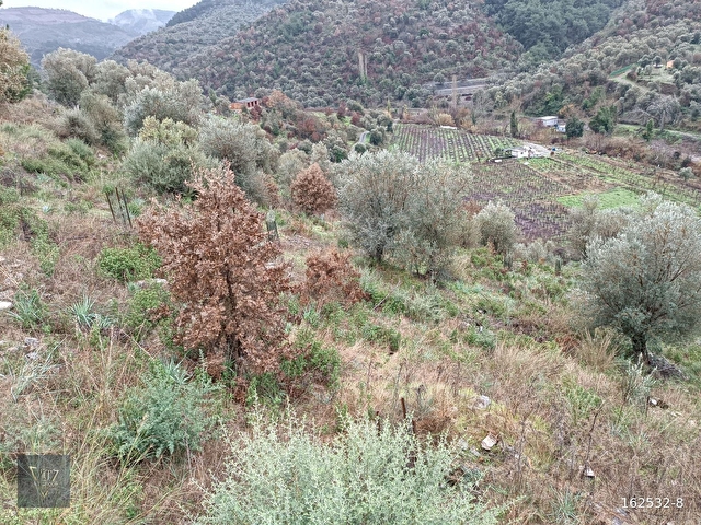 Payamlı Köyünde Kadastrol Yolu Bulunan 1800 M2 Satılık Tarla