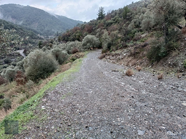 Payamlı Köyünde Kadastrol Yolu Bulunan 1800 M2 Satılık Tarla - Görsel 18