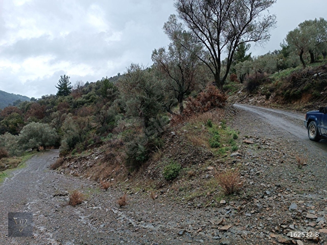 Payamlı Köyünde Kadastrol Yolu Bulunan 1800 M2 Satılık Tarla - Görsel 19