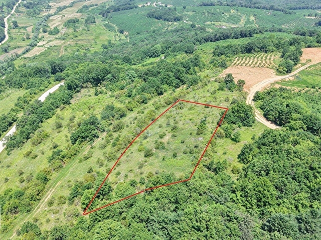 BAĞIRGANLI ZİRVEDE ORMANA CEPHELİ EŞSİZ MANZARAYA SAHİP 3362 M2 - Görsel 6