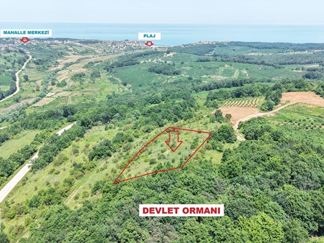 BAĞIRGANLI ZİRVEDE ORMANA CEPHELİ EŞSİZ MANZARAYA SAHİP 3362 M2 - Görsel 10
