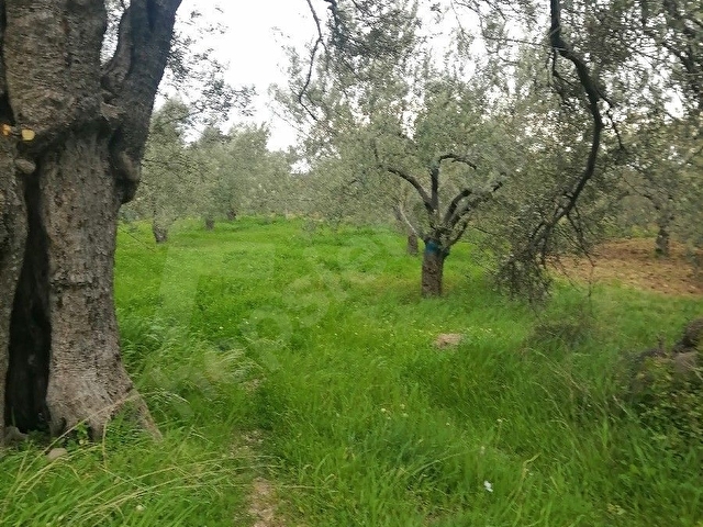 Mükemmel konumda satılık tarla - Görsel 22