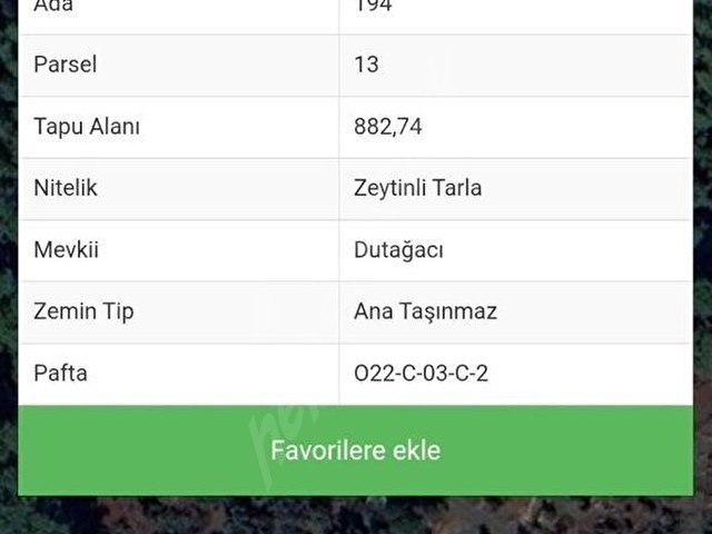 SAHİL CEYLAN 882 M2 ZEYTİNLİ TARLA TEK TAPU MÜSTAKİL - Görsel 27