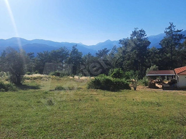 SAHİL CEYLAN 882 M2 ZEYTİNLİ TARLA TEK TAPU MÜSTAKİL - Görsel 15