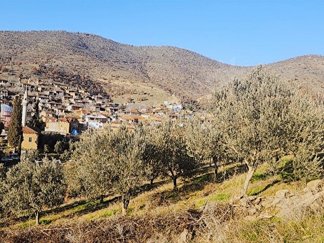 1.250m2 Zeytinlik elektirik su sorunu yoktur mustekil tapudur