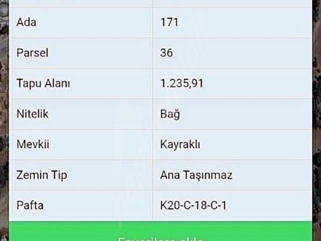 1.250m2 Zeytinlik elektirik su sorunu yoktur mustekil tapudur - Görsel 12