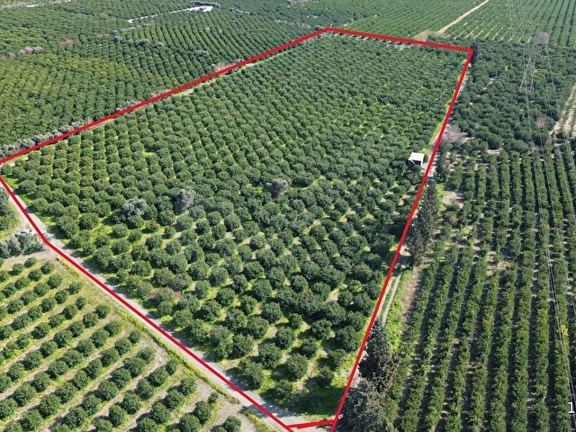 TEK TAPU 35 DÖNÜM BAHÇE TÜRKZADE EMLAKTAN - Görsel 15
