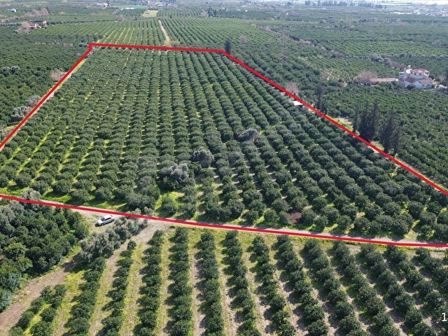 TEK TAPU 35 DÖNÜM BAHÇE TÜRKZADE EMLAKTAN - Görsel 4