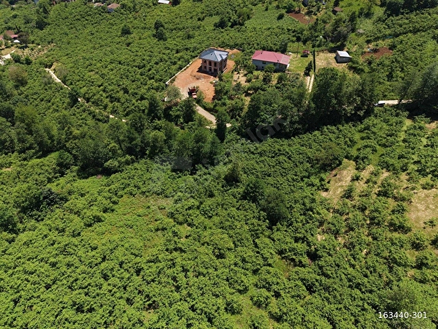 VİP REAL ESTATEDEN KAVALADA 1.600 M2 FIRSAT ARSA - Görsel 19