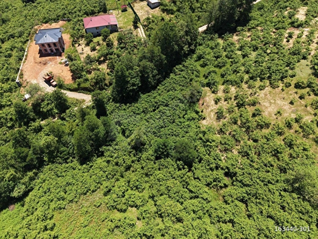 VİP REAL ESTATEDEN KAVALADA 1.600 M2 FIRSAT ARSA - Görsel 9