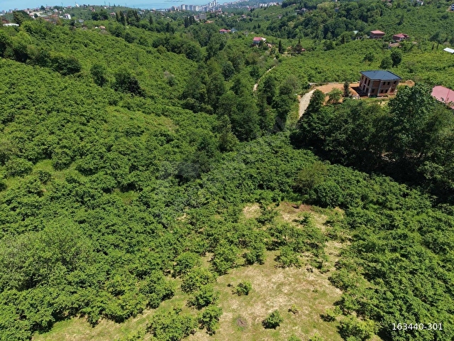 VİP REAL ESTATEDEN KAVALADA 1.600 M2 FIRSAT ARSA - Görsel 10