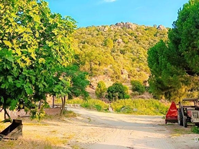FİYAT DÜŞTÜÜÜ DENİZE ARSA FİYATINA - Görsel 11