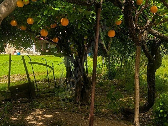 FİYAT DÜŞTÜÜÜ DENİZE ARSA FİYATINA - Görsel 26