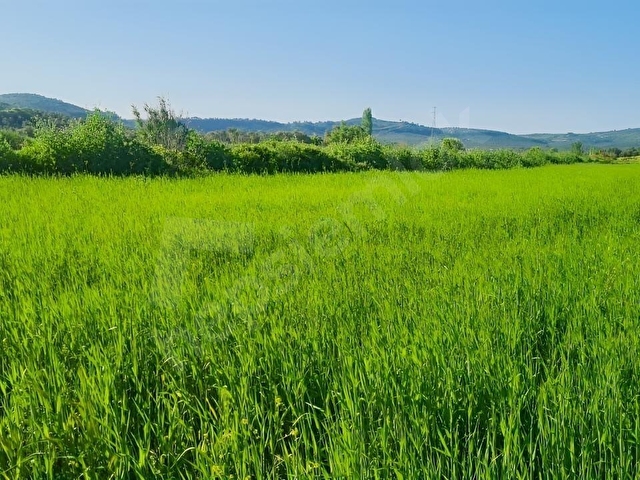 AYVALIK KONAK EMLAKTAN MUTLU KÖYDE SATILIK 11 .500 M2 TARLA - Görsel 16