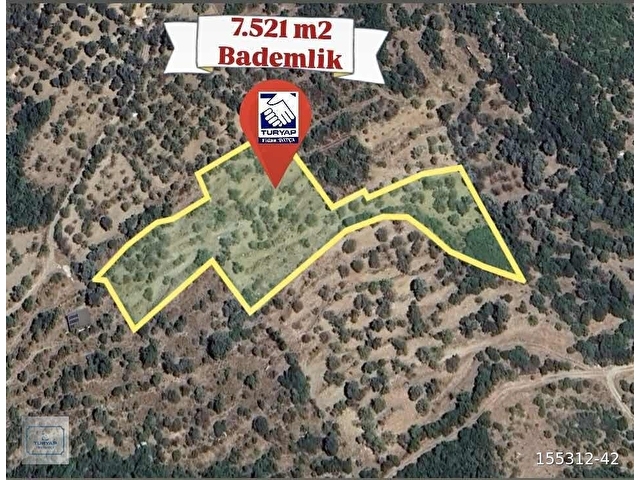 TURYAP FİDAN DAN HIZIRŞAH MAHALLESİNDE 7.521M2 SATILIK BADEMLİK - Görsel 23
