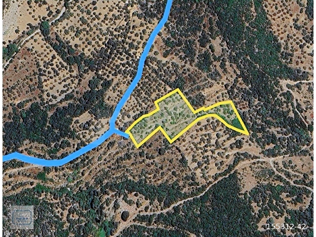 TURYAP FİDAN DAN HIZIRŞAH MAHALLESİNDE 7.521M2 SATILIK BADEMLİK - Görsel 28