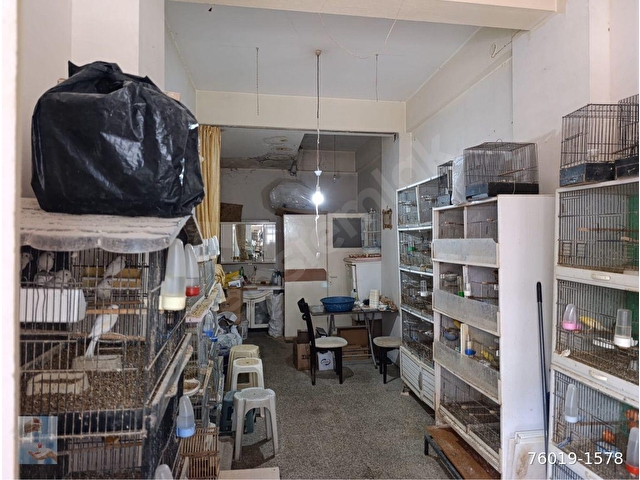 YEŞİLYURT REİS MAH ZAIMAĞA CADDESİ SATILIK DÜKKAN - Görsel 3