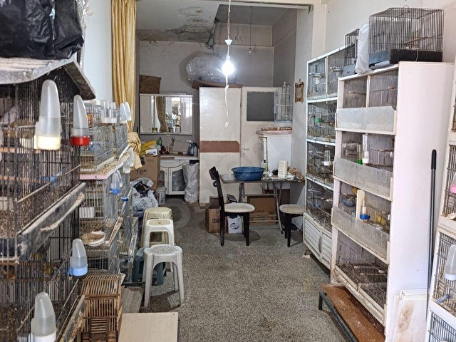 YEŞİLYURT REİS MAH ZAIMAĞA CADDESİ SATILIK DÜKKAN