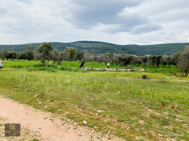 BODRUM SAZKÖY DE SATILIK 3.400 m2 İNCİRLİ TARLA - Görsel 25
