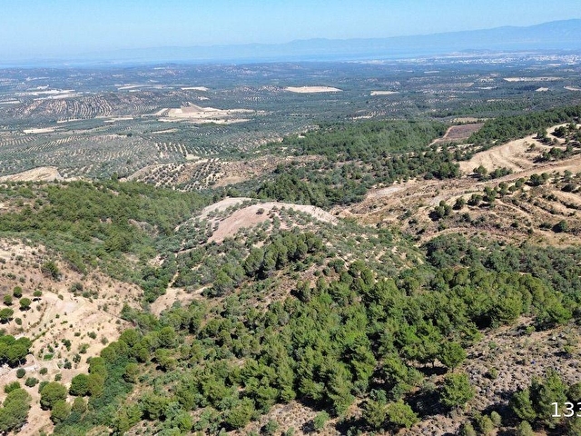 Ayvalık Kozak Tıfıllar mahallesinde Sahibinden Satılık İmarlı arazi - Görsel 15