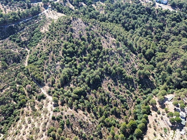 Ayvalık Kozak Tıfıllar mahallesinde Sahibinden Satılık İmarlı arazi - Görsel 16