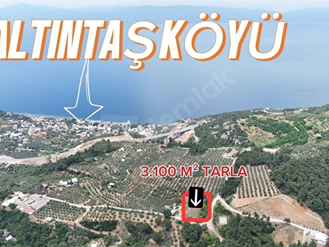 LOOKHAUSE MUDANYA ALTINTAŞTA DENİZ MANZARALI TARLA SATILIK