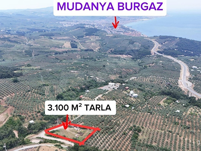 LOOKHAUSE MUDANYA ALTINTAŞTA DENİZ MANZARALI TARLA SATILIK - Görsel 2