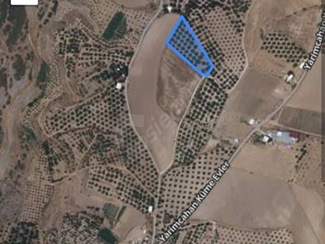 TEK TAPU 5050m.kare YOL, KONTEYNER, ELK. SU ABONELİĞİ VAR. - Görsel 2